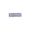 I've Been To Graceland Bumper Sticker