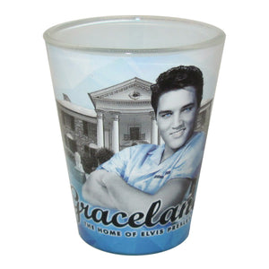 Elvis Graceland Gradient Shot