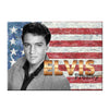 Elvis Presley Americana Magnet