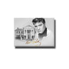 Nostalgic Elvis Presley Graceland Magnet